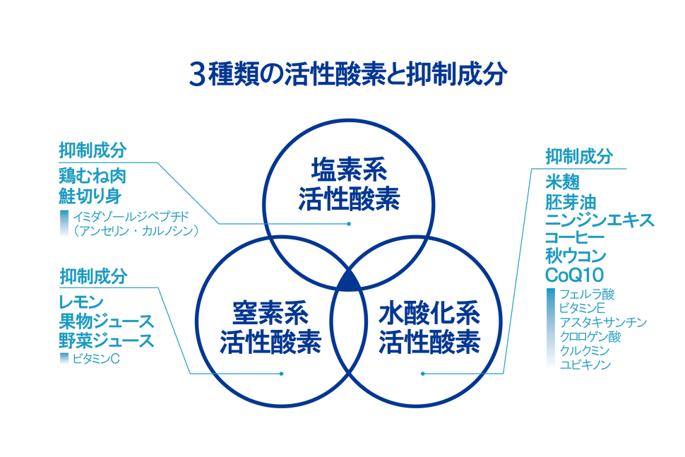 3つの活性酸素と対応する食品